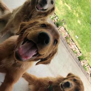 Meet your Posher, Katie